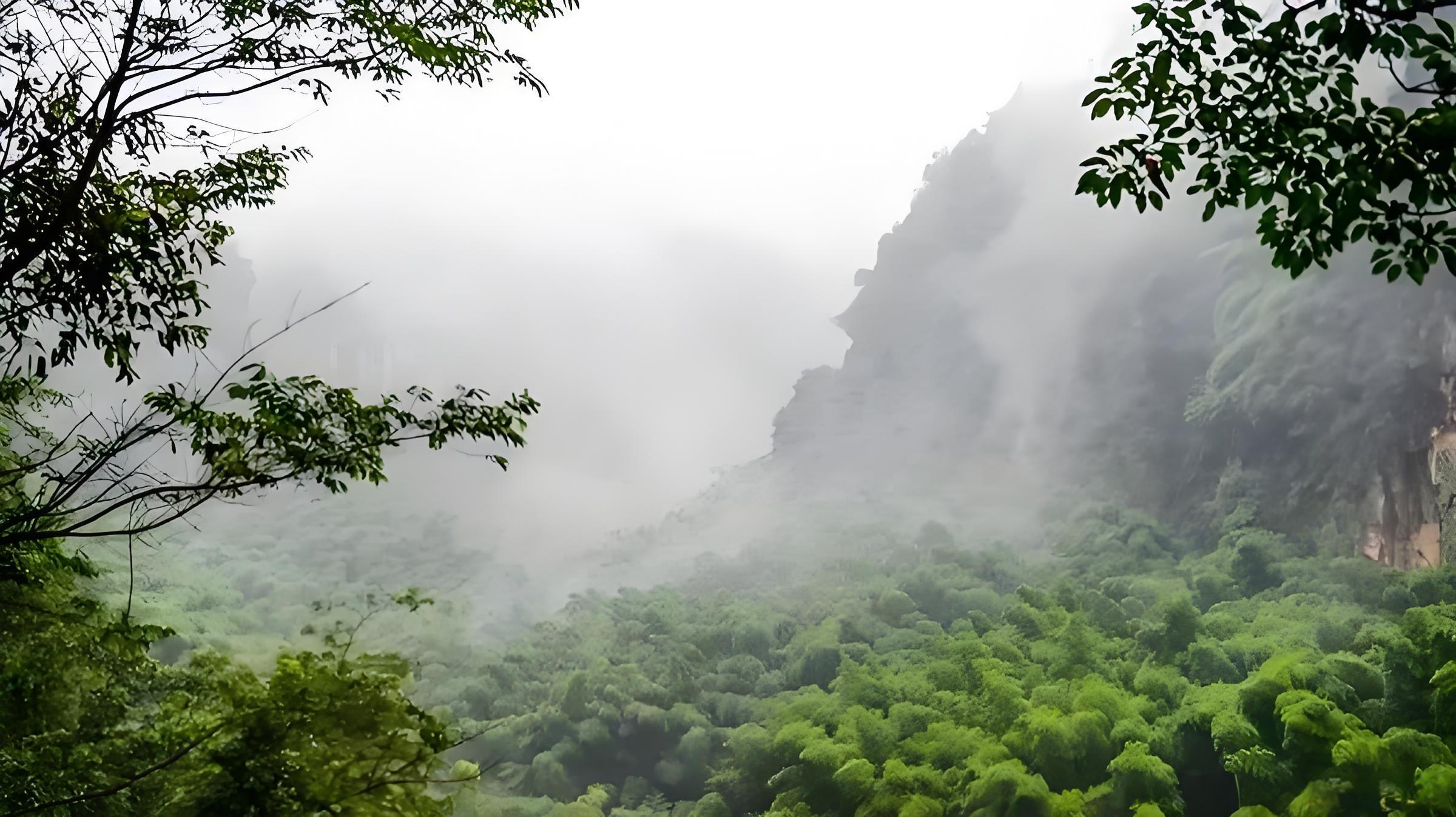 花龙沟竹海：川南的绿野仙踪