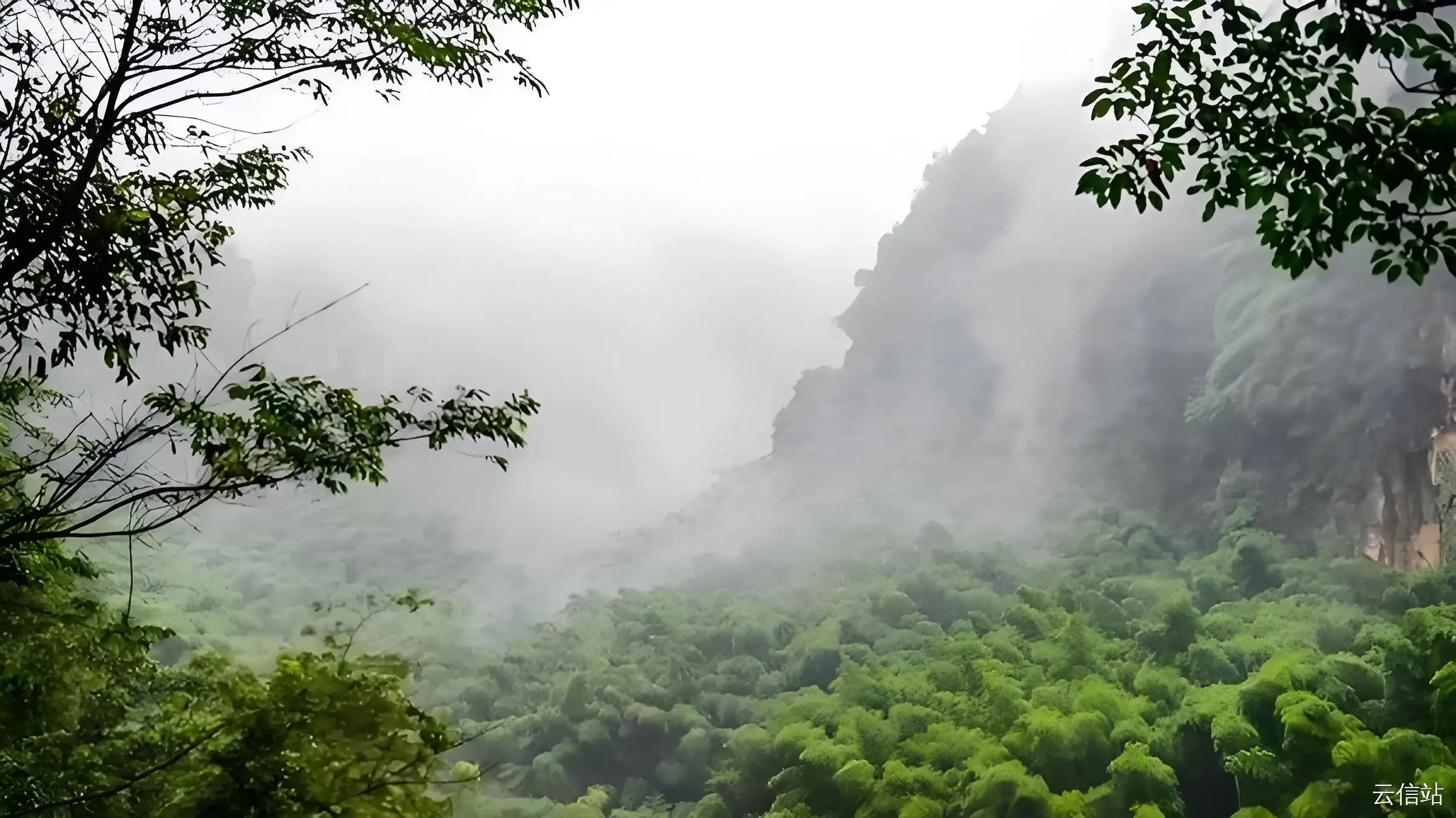 花龙沟竹海：川南的绿野仙踪